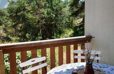 Gréolières les Neiges Studio 4 personnes - Foto 7