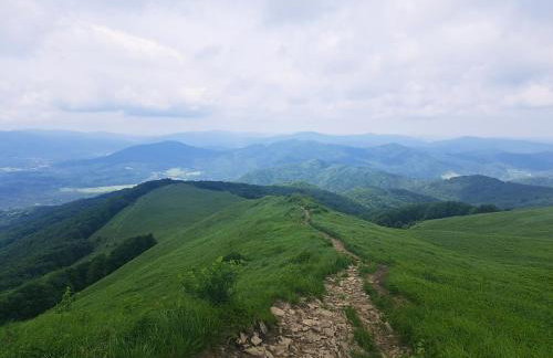 Domki w Bieszczadach Nowa Zelandia - Photo 46
