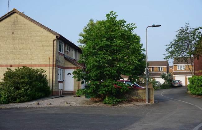 Holt Apartment - Foto 35