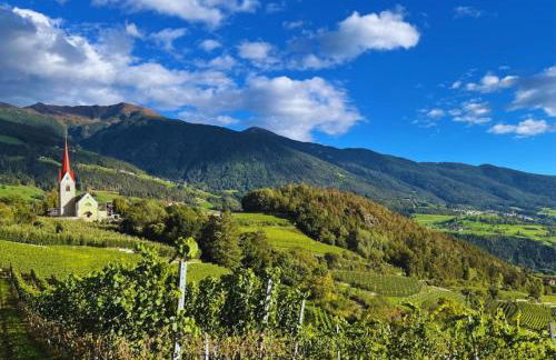 Baumgartnerhof - Foto 20