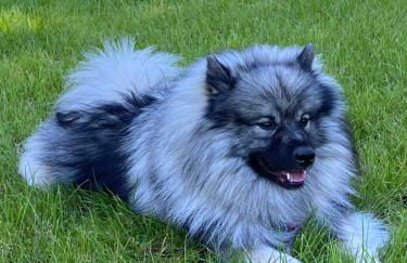 Erichshagener Ferienlaube - Foto 36