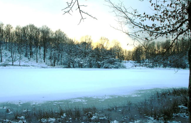 Apartment in Deudesfeld With Private Terrace - Foto 28
