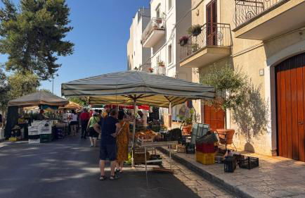 Casa Marisa Villa Vacanza - Foto 69