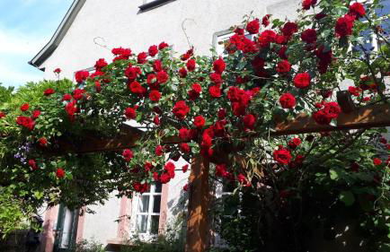 Apartment Annette Faust - Foto 11