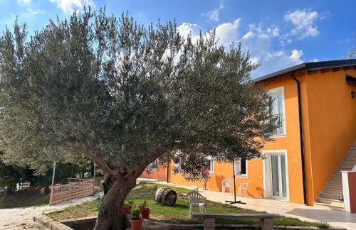 Agriturismo Collamato - Foto 1