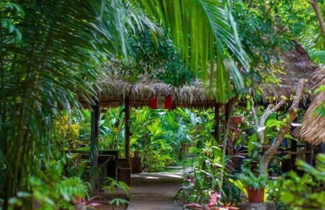 Tronco Tambopata Adventure - Photo 54