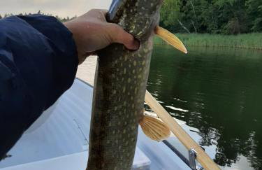 Osada Wejsuny - Foto 56