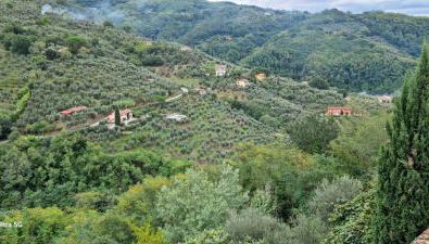 Hill Lovely House - Foto 2