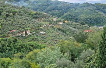 Hill Lovely House - Foto 2