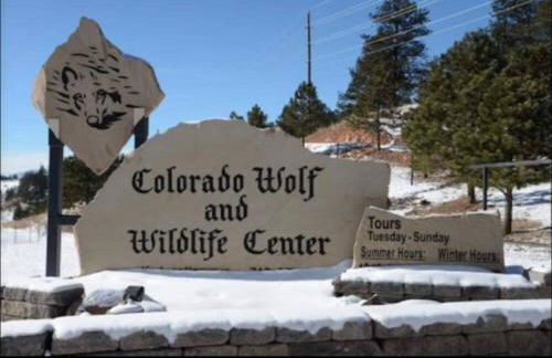 Cozy Cabin - Foto 36