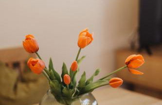 Töllhof Apartments and Farm - Foto 51