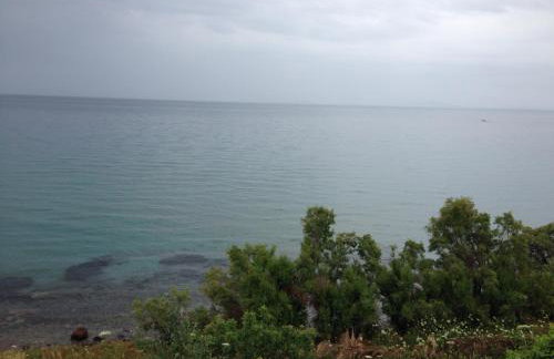 George Paradise - Foto 9