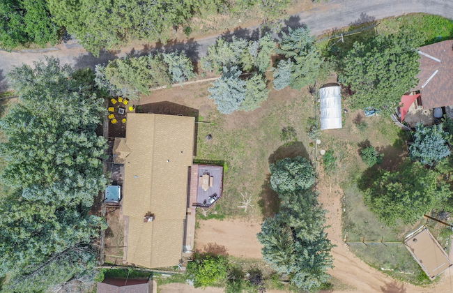 Green Dream - Foto 49