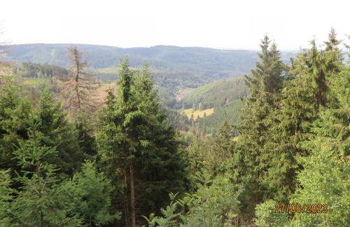 Bergblick - Photo 19