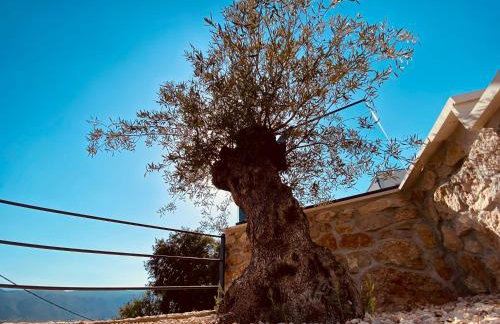 Villa Magic look - Foto 18