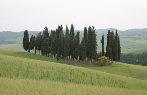 Agriturismo Cantagalli - Foto 129