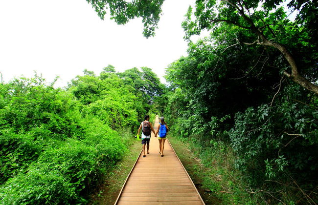 Trekking nella baia di Golfinhos - Foto 2