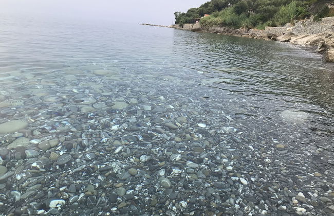 Centre of Pisciotta - Apartment - Stay 4 - Seaside - Foto 23