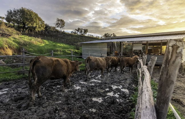 Agriturismo La Fontaccia - Foto 53