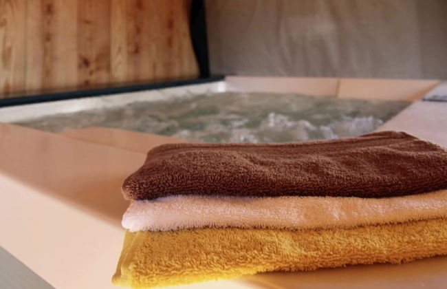 Luxury House with Indoor Pool, Sauna, Hot Tub - Photo 30