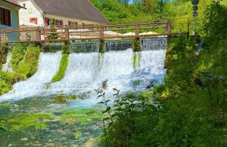 Ferienwohnung am Kappenturm - Foto 25