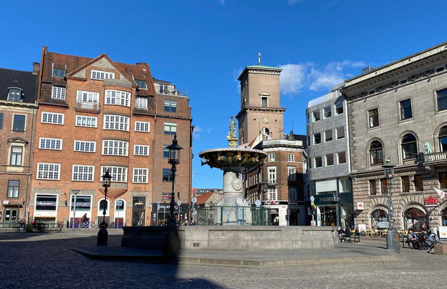 Visite de Copenhague + Billet pour les Jardins Tivoli - Photo 9