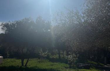 Villa au cœur de la Provence en pleine nature plage a 30 kilometres - Foto 39