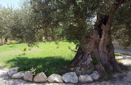 Villetta Via Lecce - Foto 22