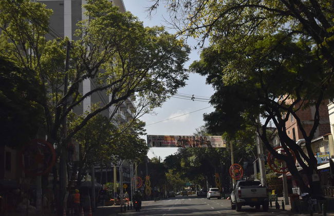 Free tour di Los Laureles - Foto 7