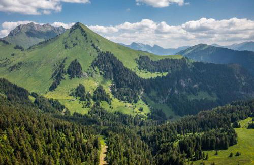 Les Pralyssimes 462 - Foto 19