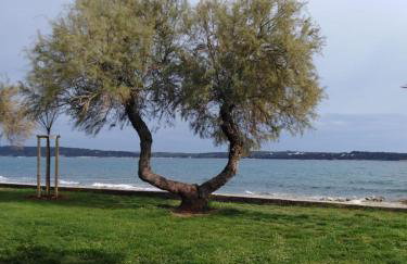 Apartmani Belvedere - Photo 25