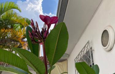 Casa Vintage, tranquilidade no Prado - Foto 29