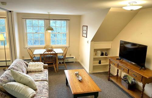 Peaceful Mtn Studio Pet-friendly - Foto 7