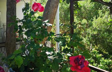 Apartman Sissy - Photo 49