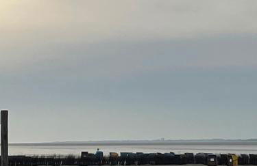 Minikrabbe - Foto 13