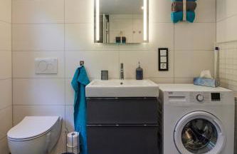 Schwarzer Kater Blankenheim - Foto 16