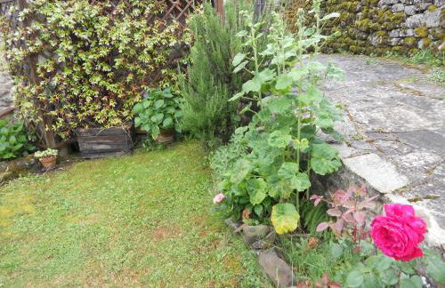 Casa Vacanze Le Antiche Pietre - Foto 12