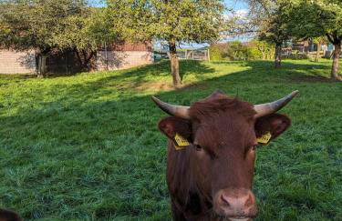Ferienwohnung Seeling Weserbergland - Photo 11