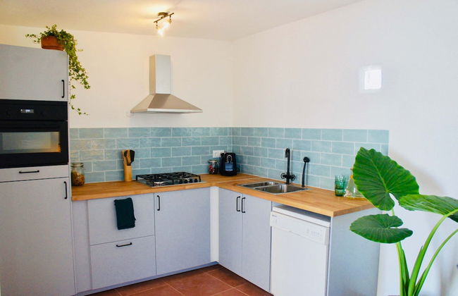 João Jungle - Foto 28