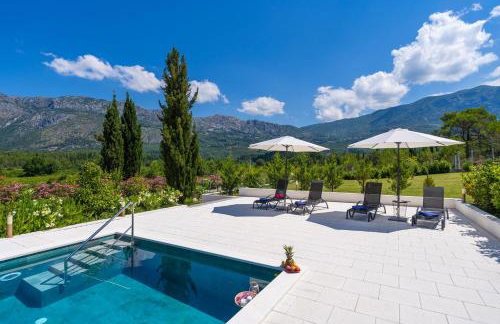 House Terra Madre - Photo 37