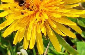 Agriturismo da Natalino - Foto 35