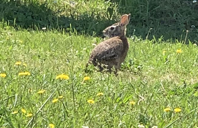 Agriturismo La Terzola 3.0 - Foto 41