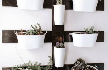 The Hermantown Hangout - Foto 12