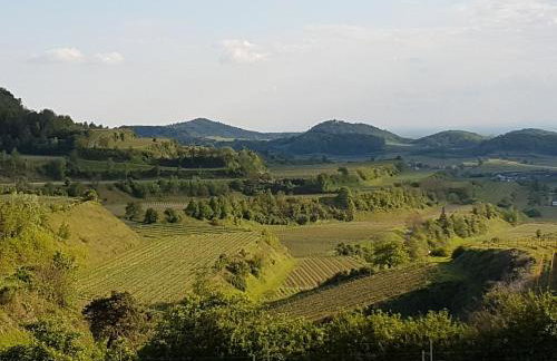 Feriendomizil Bergamini - Foto 18