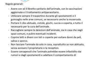 Regolo Rent - Foto 15