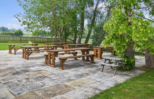 Lily Pad 1 - Uk49648 - Foto 17