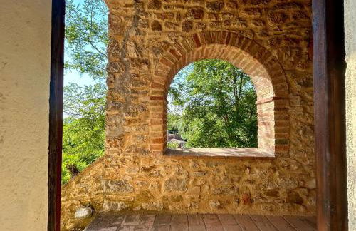 La Loggetta dei Poderi - 5' dalle Terme di Saturnia - Foto 33