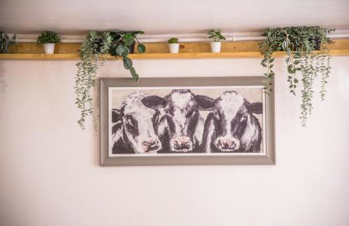 The Old Dairy Mill Street - Foto 10