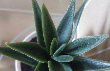 I diamanti - Foto 32