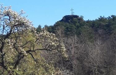 Wünschel Stube - Foto 28